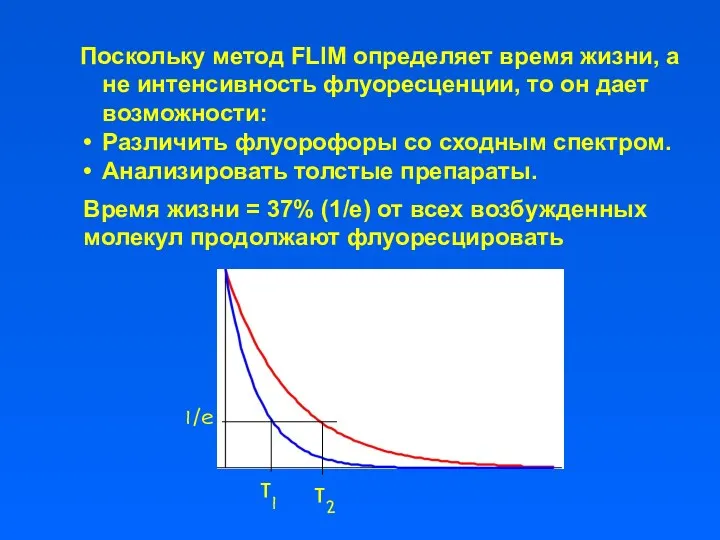 Поскольку метод FLIM определяет время жизни, а не интенсивность флуоресценции, то он дает