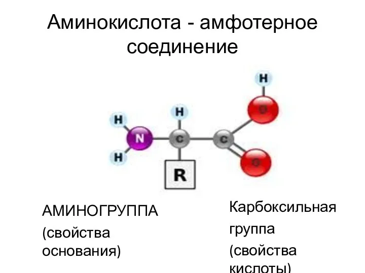 Аминокислота - амфотерное соединение АМИНОГРУППА (свойства основания) Карбоксильная группа (свойства кислоты)
