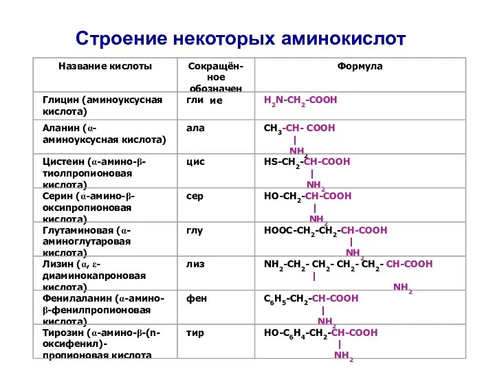 Строение некоторых аминокислот