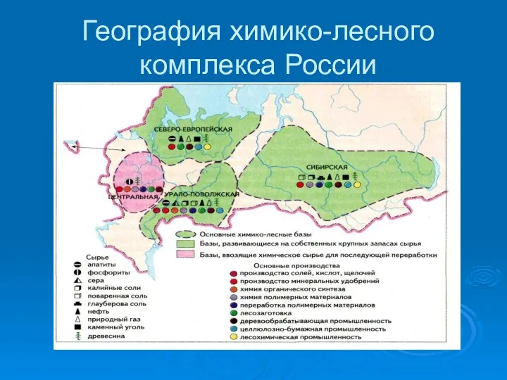 География химико-лесного комплекса России