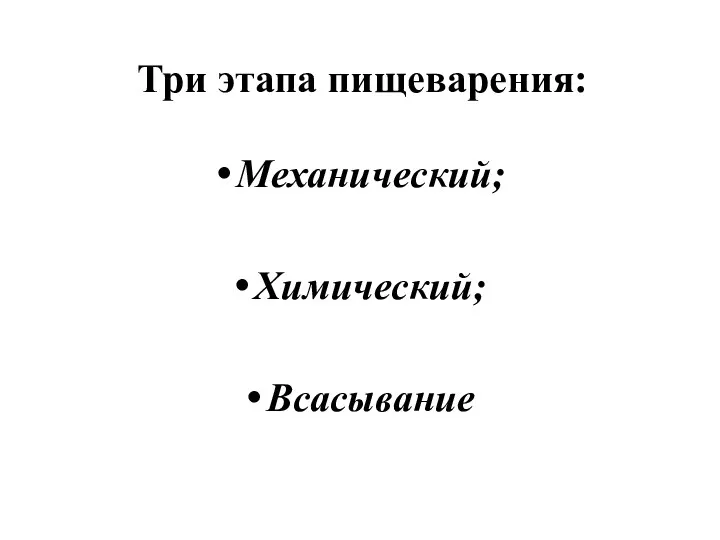 Три этапа пищеварения: Механический; Химический; Всасывание