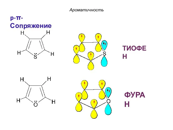 ФУРАН ТИОФЕН Ароматичность p-π-Сопряжение