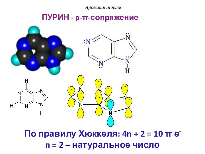 ПУРИН - p-π-сопряжение Ароматичность По правилу Хюккеля: 4n + 2