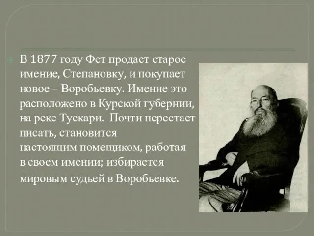 В 1877 году Фет продает старое имение, Степановку, и покупает новое – Воробьевку.