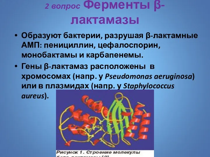 2 вопрос Ферменты β-лактамазы Образуют бактерии, разрушая β-лактамные АМП: пенициллин,