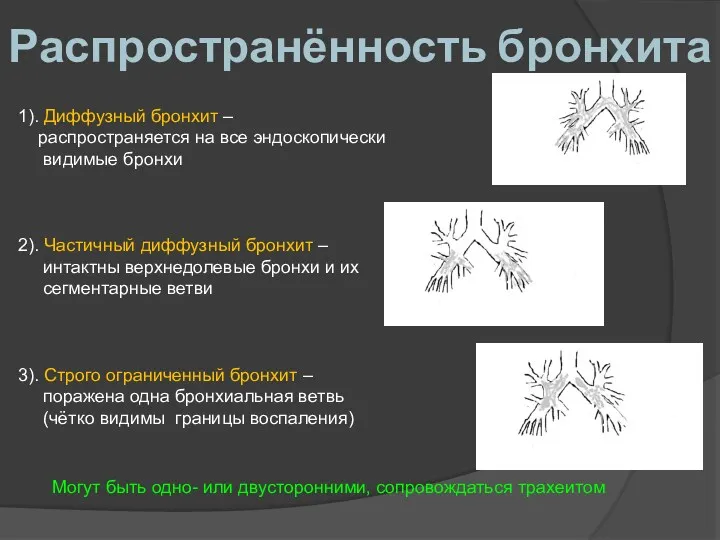 Распространённость бронхита 1). Диффузный бронхит – распространяется на все эндоскопически