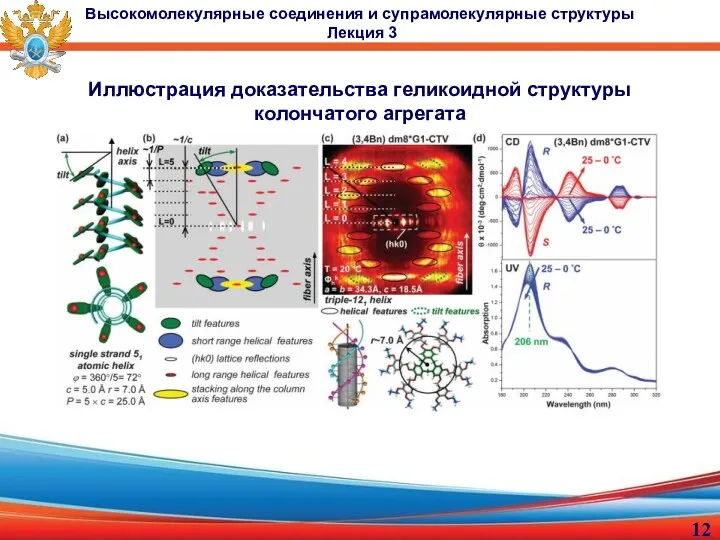 Иллюстрация доказательства геликоидной структуры колончатого агрегата Высокомолекулярные соединения и супрамолекулярные структуры Лекция 3