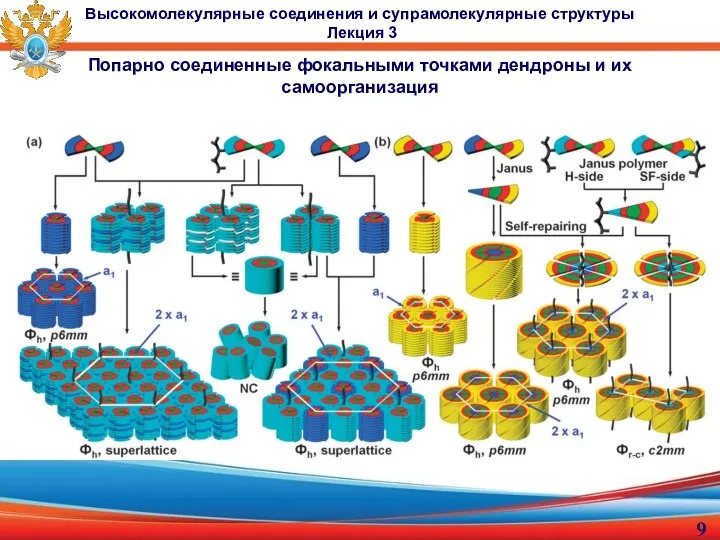 Попарно соединенные фокальными точками дендроны и их самоорганизация Высокомолекулярные соединения и супрамолекулярные структуры Лекция 3