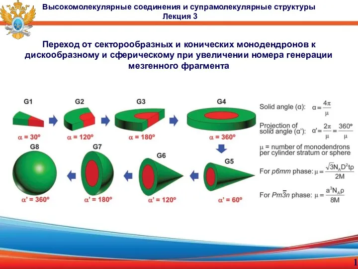 Переход от секторообразных и конических монодендронов к дискообразному и сферическому