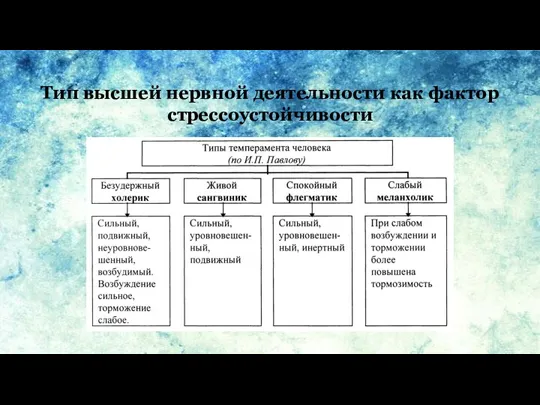 Тип высшей нервной деятельности как фактор стрессоустойчивости