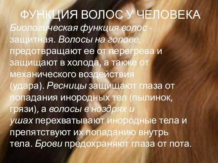 ФУНКЦИЯ ВОЛОС У ЧЕЛОВЕКА Биологическая функция волос - защитная. Волосы на голове, предотвращают