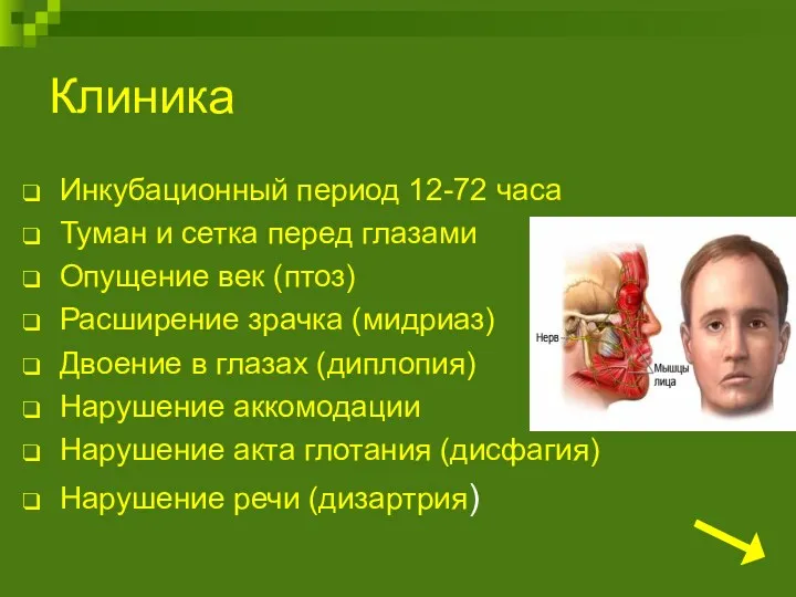 Клиника Инкубационный период 12-72 часа Туман и сетка перед глазами Опущение век (птоз)