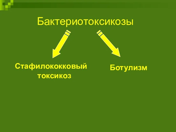 Бактериотоксикозы Стафилококковый токсикоз Ботулизм