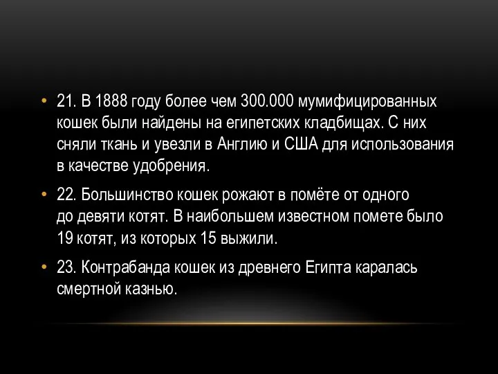 21. В 1888 году более чем 300.000 мумифицированных кошек были