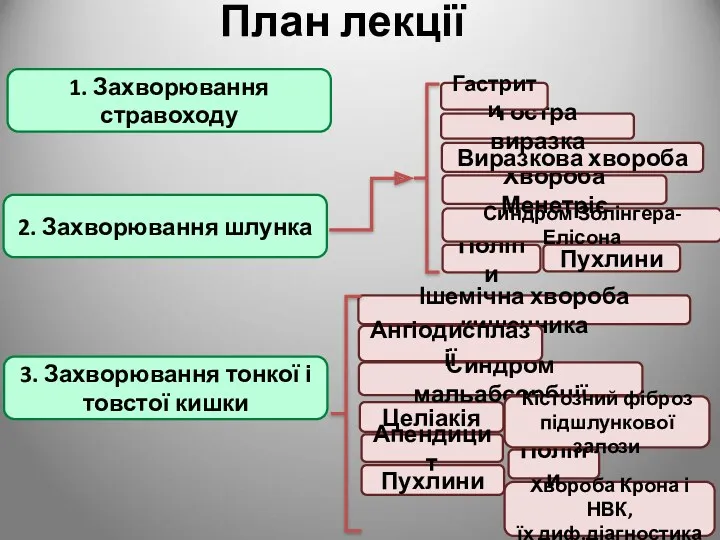 План лекції 1. Захворювання стравоходу 2. Захворювання шлунка 3. Захворювання