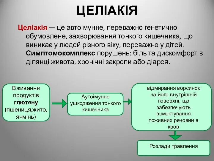 ЦЕЛІАКІЯ Целіакія — це автоімунне, переважно генетично обумовлене, захворювання тонкого