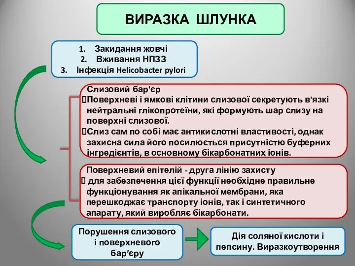 ВИРАЗКА ШЛУНКА Слизовий бар'єр Поверхневі і ямкові клітини слизової секретують