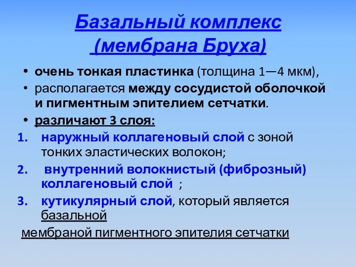 Базальный комплекс (мембрана Бруха) очень тонкая пластинка (толщина 1—4 мкм),