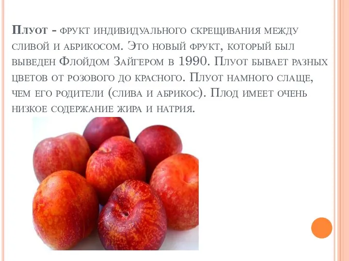 Плуот - фрукт индивидуального скрещивания между сливой и абрикосом. Это новый фрукт, который