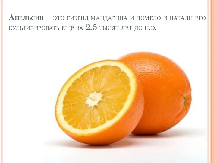 Апельсин - это гибрид мандарина и помело и начали его культивировать еще за