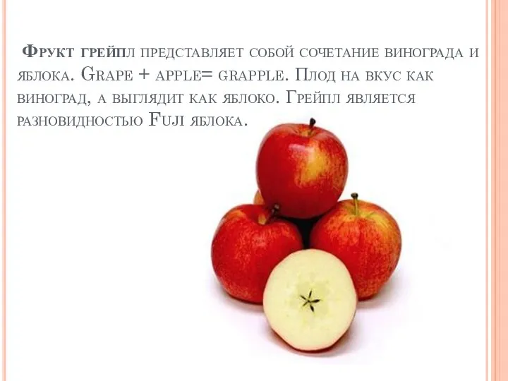 Фрукт грейпл представляет собой сочетание винограда и яблока. Grape + apple= grapple. Плод