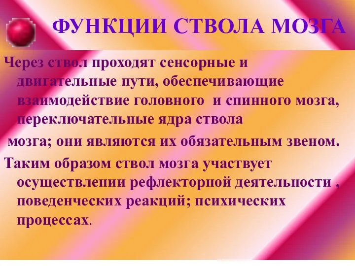 ФУНКЦИИ СТВОЛА МОЗГА Через ствол проходят сенсорные и двигательные пути, обеспечивающие взаимодействие головного