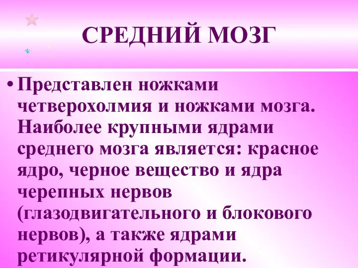 СРЕДНИЙ МОЗГ Представлен ножками четверохолмия и ножками мозга. Наиболее крупными ядрами среднего мозга