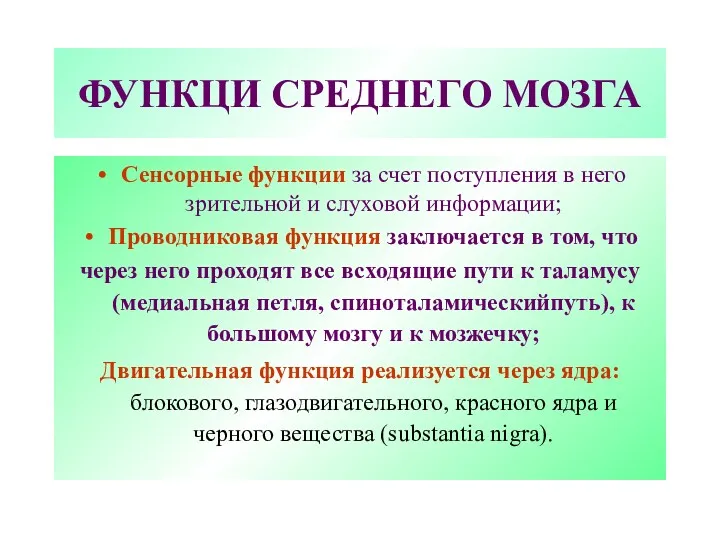 ФУНКЦИ СРЕДНЕГО МОЗГА Сенсорные функции за счет поступления в него зрительной и слуховой