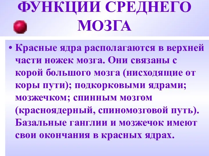 ФУНКЦИИ СРЕДНЕГО МОЗГА Красные ядра располагаются в верхней части ножек