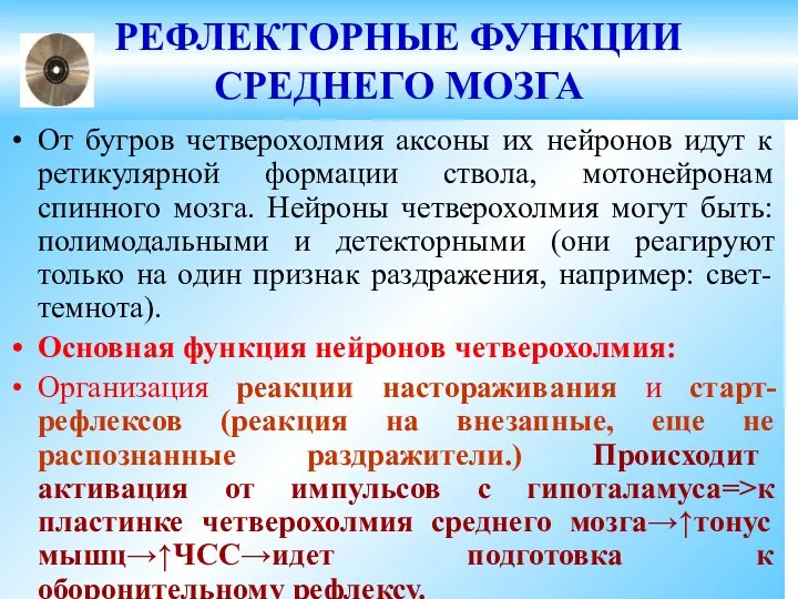 РЕФЛЕКТОРНЫЕ ФУНКЦИИ СРЕДНЕГО МОЗГА От бугров четверохолмия аксоны их нейронов