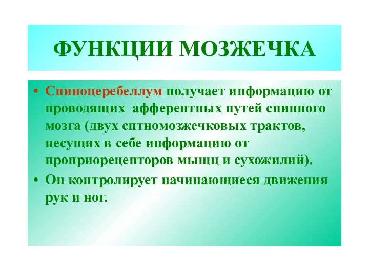 ФУНКЦИИ МОЗЖЕЧКА Спиноцеребеллум получает информацию от проводящих афферентных путей спинного мозга (двух сптномозжечковых