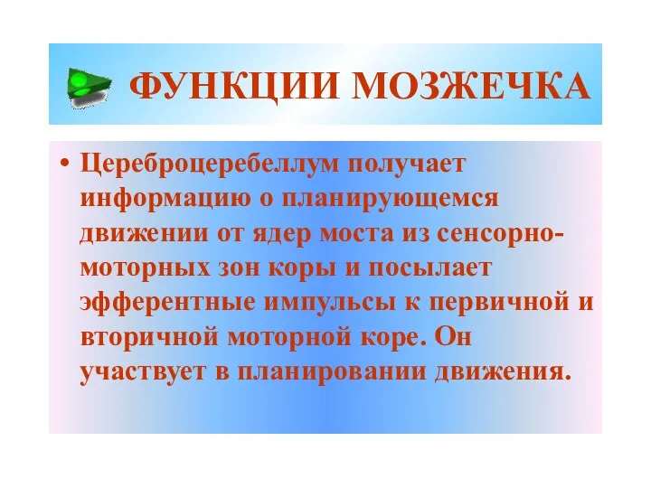 ФУНКЦИИ МОЗЖЕЧКА Цереброцеребеллум получает информацию о планирующемся движении от ядер моста из сенсорно-моторных