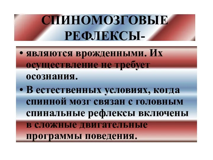 СПИНОМОЗГОВЫЕ РЕФЛЕКСЫ- являются врожденными. Их осуществление не требует осознания. В естественных условиях, когда