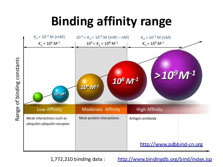 Binding affinity range http://www.bindingdb.org/bind/index.jsp 1,772,210 binding data : http://www.pdbbind-cn.org