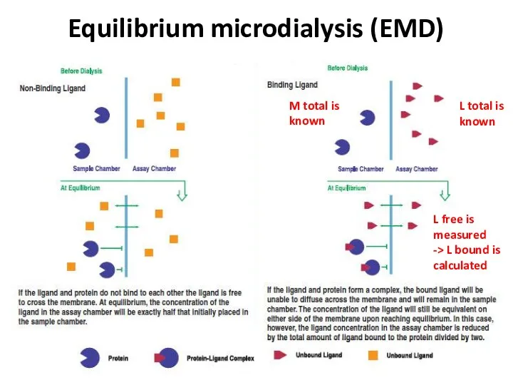 Equilibrium microdialysis (EMD) L total is known L free is