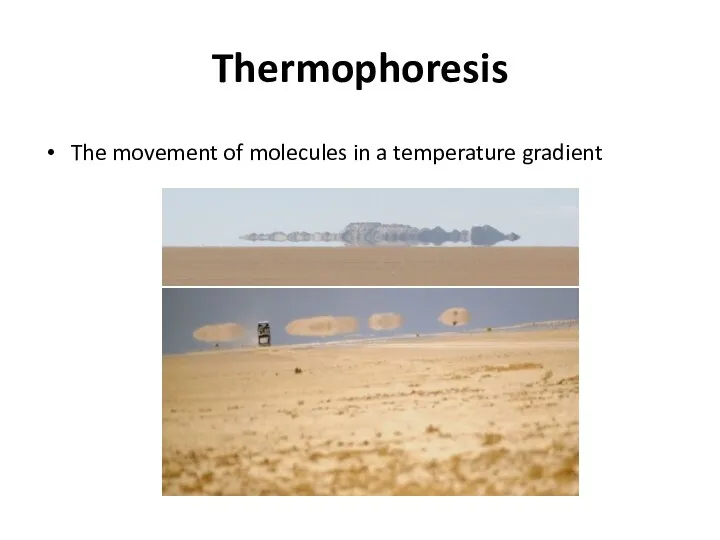 Thermophoresis The movement of molecules in a temperature gradient