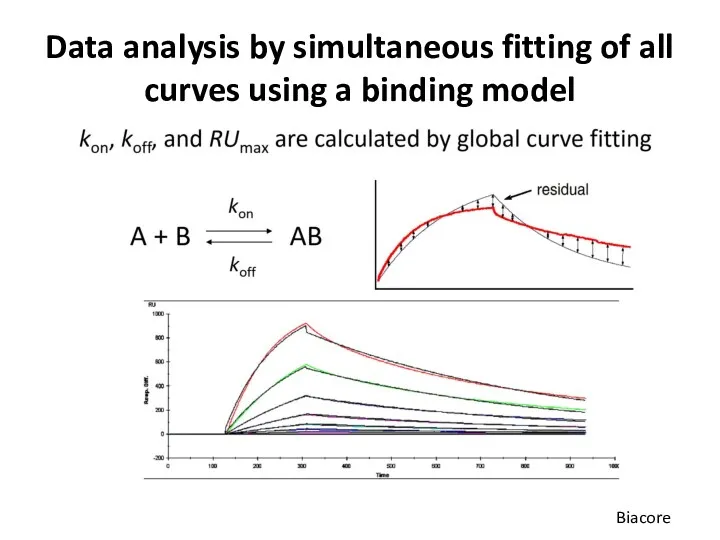 Data analysis by simultaneous fitting of all curves using a binding model Biacore