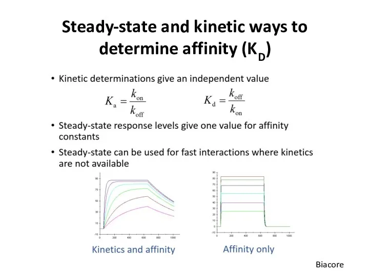 Steady-state and kinetic ways to determine affinity (KD) Biacore