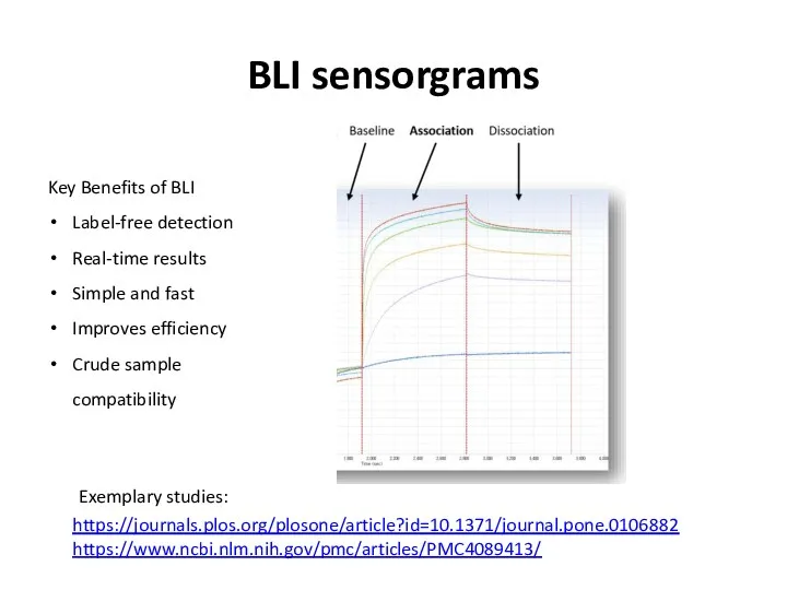 BLI sensorgrams Key Benefits of BLI Label-free detection Real-time results