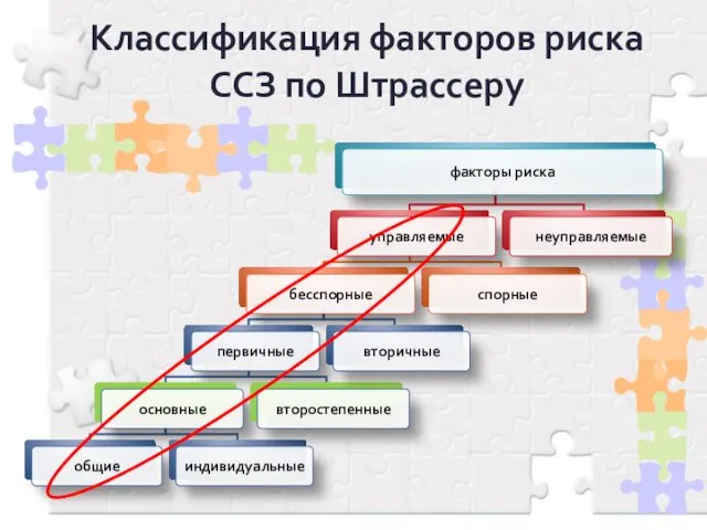 Классификация факторов риска ССЗ по Штрассеру