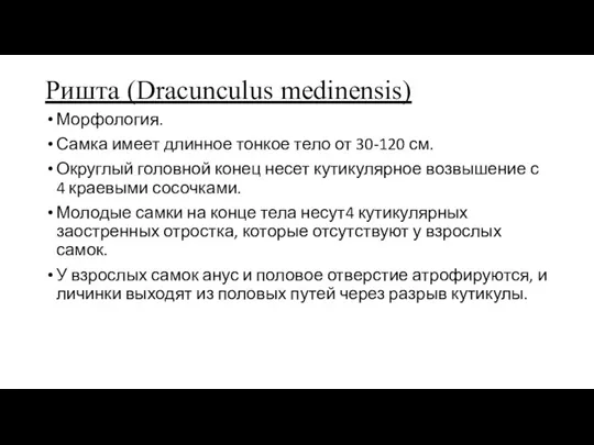 Ришта (Dracunculus medinensis) Морфология. Самка имеет длинное тонкое тело от