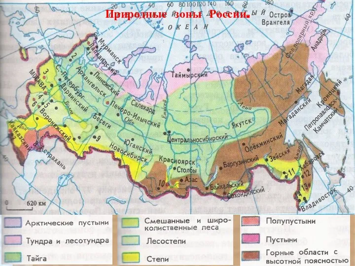 Природные зоны России.