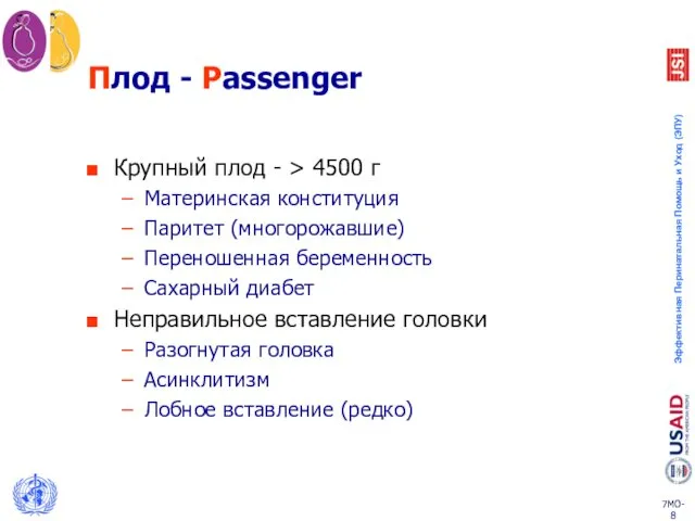 Плод - Passenger Крупный плод - > 4500 г Материнская