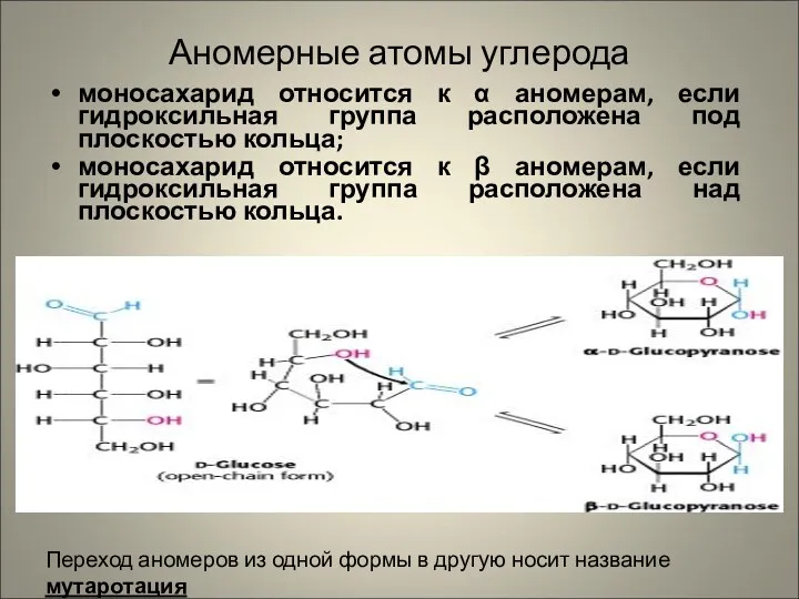 Аномерные атомы углерода моносахарид относится к α аномерам, если гидроксильная