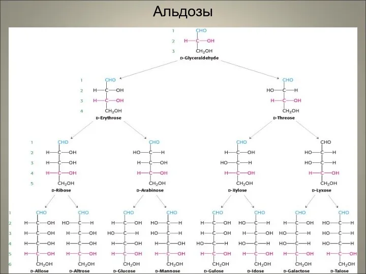 Альдозы
