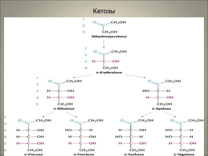 Кетозы