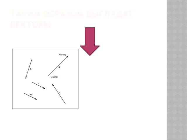 ТАКИМ ОБРАЗОМ ВЫГЛЯДЯТ ВЕКТОРЫ
