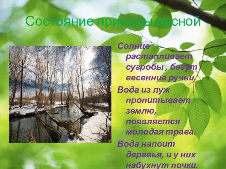 Состояние природы весной Солнце растапливает сугробы , бегут весенние ручьи.