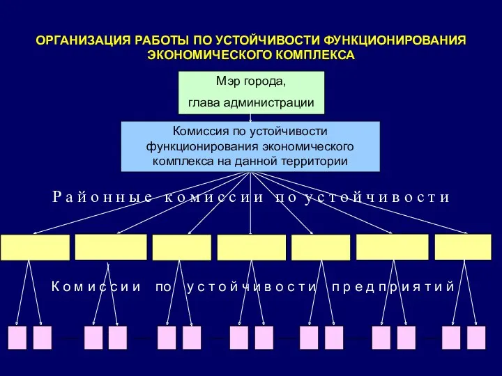 ОРГАНИЗАЦИЯ РАБОТЫ ПО УСТОЙЧИВОСТИ ФУНКЦИОНИРОВАНИЯ ЭКОНОМИЧЕСКОГО КОМПЛЕКСА Мэр города, глава