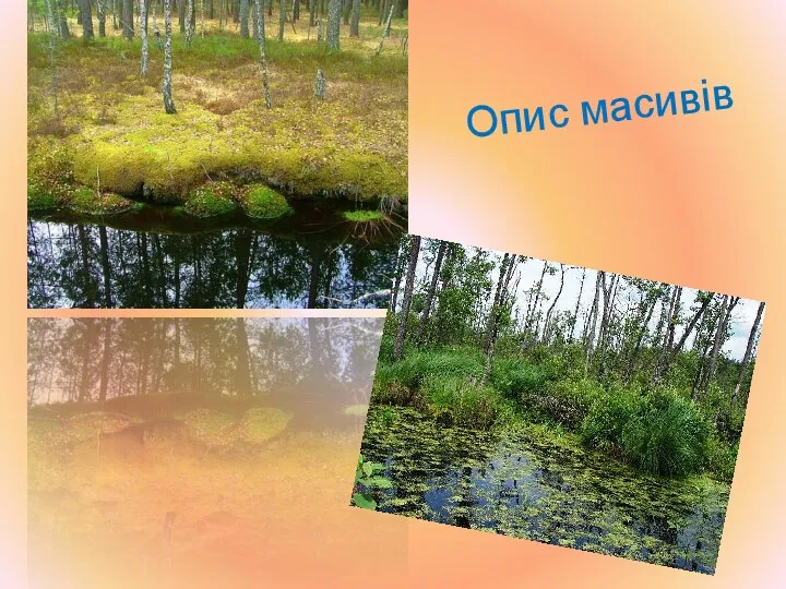 Опис масивів